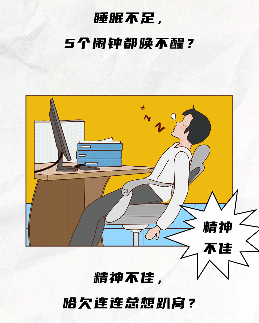 球速体育茶饮